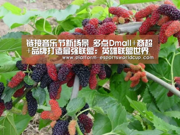 链接音乐节新场景 多点Dmall+商超+品牌打造最强联盟:英雄联盟世界赛(图1) 全球总决赛官网