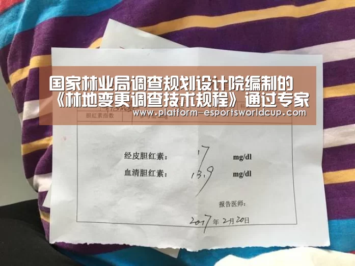 英雄联盟世界赛