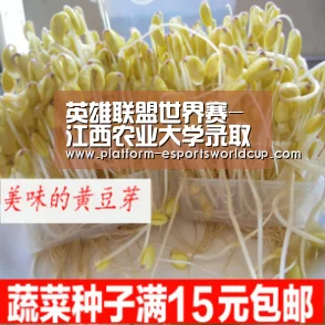 全球总决赛官网