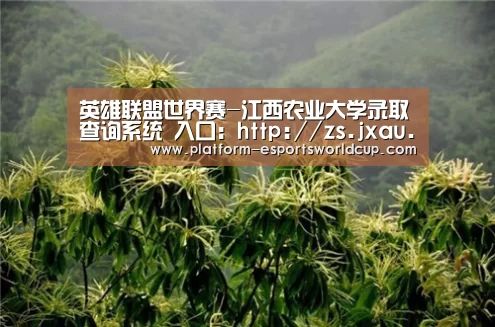 世界赛官网